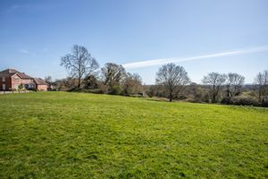 Photo 37- click for photo gallery